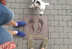 Manto Žalkausko ir jo draugės Simonos kelionė Baltijos keliu