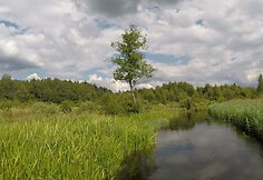 Ekspedicijos &bdquo;Baidarė upėje&ldquo; dalyviai plaukia Lakaja