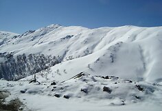 Apačioje žalia, viršuje – balta
