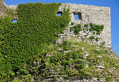 Erice