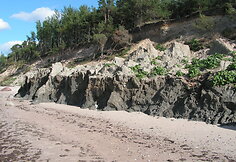 Morenos klifas tarp Jūrkalnės ir Ulmalės (Latvija)
