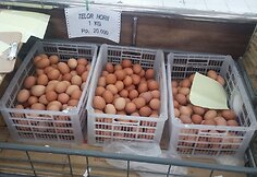 Kiau&scaron;inių kaina Indonezijoje skaičiuojama ne už vienetą, o už jų kilogramą 