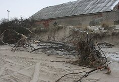 Audros nepasigailėjo ir su visom &scaron;aknim vertė pakrantėje stovėjusius medžius. 