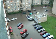 Liūtis užlieko Debreceno gatvę.