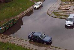 Liūtis merkė ir Taikos prospekto kiemus.