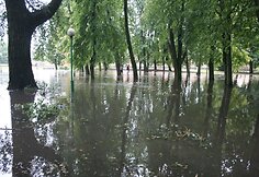 Prie Danės patvino visas skveras. Čia gyvenantys žmonės teigė nematę tokio vaizdo.