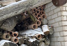 Sodyba Salantuose