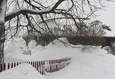 Sniegas užklojo tykiąją Nidą
