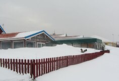 Sniegas užklojo tykiąją Nidą