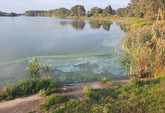 Kretingos rajone pastebėti i&scaron;tekėję ter&scaron;alai Padvarių tvenkinyje, tar&scaron;a teka Akmena 