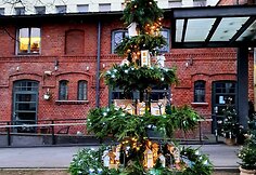 Eglutė I.Simonaitytės bibliotekos kieme