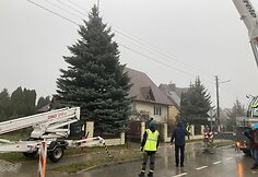 Klaipėdos Teatro aik&scaron;tę pasiekė Kalėdų medis