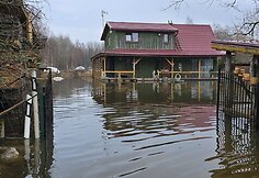 Žalgirių kaimas
