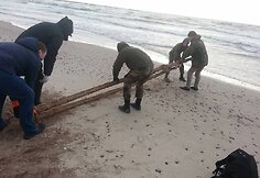 Šventojoje aptikti istorinio siauruko bėgiai