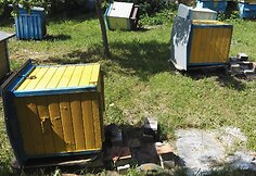 Vandalai Mickų kaime išvartė devynis avilius