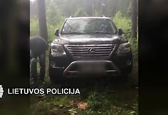 Palangoje praėjusią vasarą i&scaron; baltarusio pavogtas prabangus &bdquo;Lexus&ldquo;.