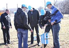 Parke iškelti moksleivių ir studentų inkilai.