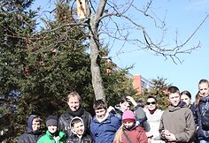 Parke iškelti moksleivių ir studentų inkilai.