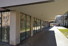 Nuo pneumatinių šūvių nukentėjusi odontologijos klinika.