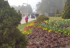 Ilgasis savaitgalis Palangoje
