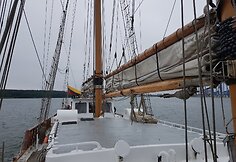 Burlaivis &bdquo;Brabander&ldquo;