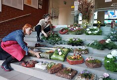 Studentų ruo&scaron;iamos Vėlinių kompozicijos.