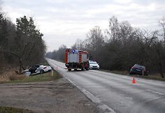 Kelyje Kretinga-Jokūbavas avarija nusine&scaron;ė vyro gyvybę.