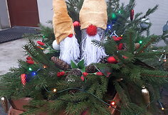 I&scaron;rinktos originaliausiai i&scaron;puo&scaron;tos lauko erdvės Klaipėdos rajone