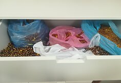 FNTT vykdo ikiteisminį tyrimą dėl įtariamos nelegalios prekybos gintaru ir jo produktais.