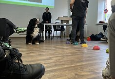Marija Mik&scaron;taitė pameistrystę ji atliko gyvūnų prekių tinkle &bdquo;Kika&ldquo;, o &scaron;iandien čia jau dirba.