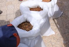 Pajūryje išbarstyti 53 kg gintaro.