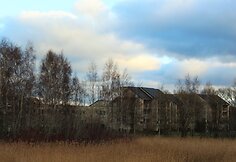 &Scaron;ventoji žiemą &ndash; niūri ir be gyvybės.