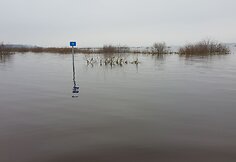 Lenkijoje automobilį i&scaron;sinuomojusios prancūzės kelionę baigė Rusnės potvynio vandenyse.