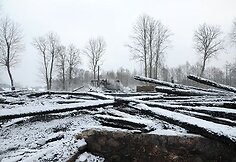 Pirmieji į gaisro vietą atvyko Utenos rajono ugniagesiai