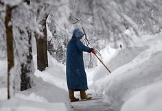 Departamentų darbuotojai dėl saugumo paraginti likti namuose