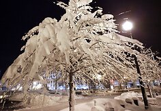 Departamentų darbuotojai dėl saugumo paraginti likti namuose