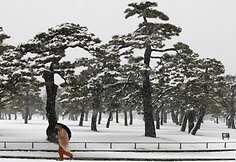 Japonijoje i&scaron;kritęs pirmas gausus sniegas sukėlė nesklandumų.