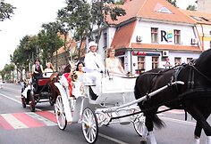 Nuotakų parado ir pajūrio nuotakos rinkimų akimirkos