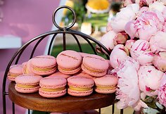 Vasaros vakarėlis Vilniuje 