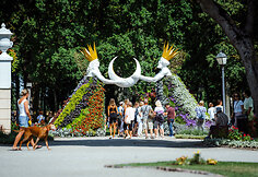 Gėlių, meno ir meilės festivalis Pakruojo dvare