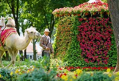Gėlių, meno ir meilės festivalis Pakruojo dvare