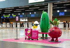 Vilniaus oro uostas laikinai tapo „Vilnius Pinkternational Beetport“