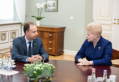 Aurelijus Veryga ir Dalia Grybauskaitė