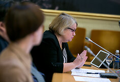Liudvika Me&scaron;kauskaitė