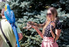Galimybė įsimažinti fotografijoje su egzotiniais gyvūnais