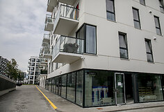 Daugiabučiai Naujamiestyje