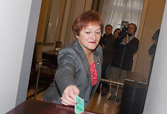 Birutė Vėsaitė