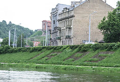 Gėlių gausa Vilnius pasigirti negali