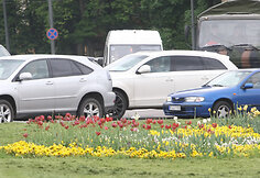 Gėlių gausa Vilnius pasigirti negali