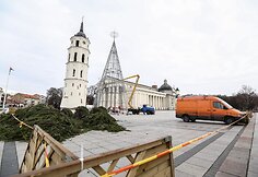 Kalėdų eglė Katedros aik&scaron;tėje